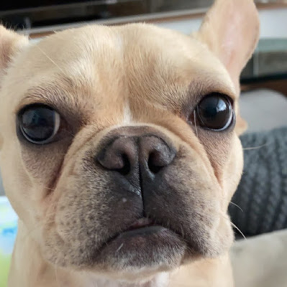 Meet your Posher, Lindsay